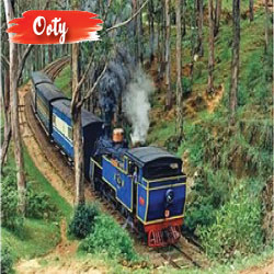 ooty low cost hotels